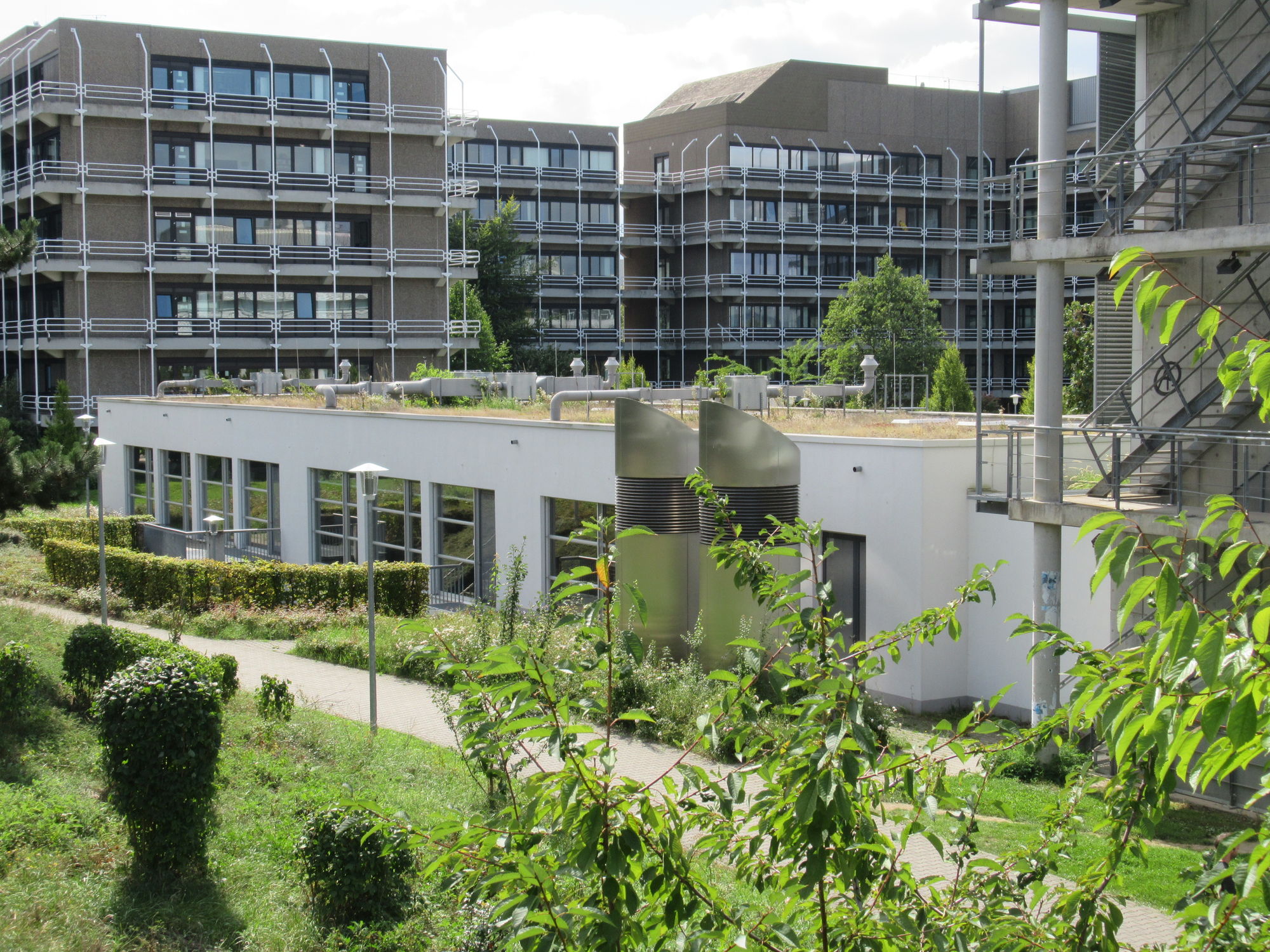 JohannesGutenbergUniversität Mainz  Ingenieurbüro TGA Effizienz